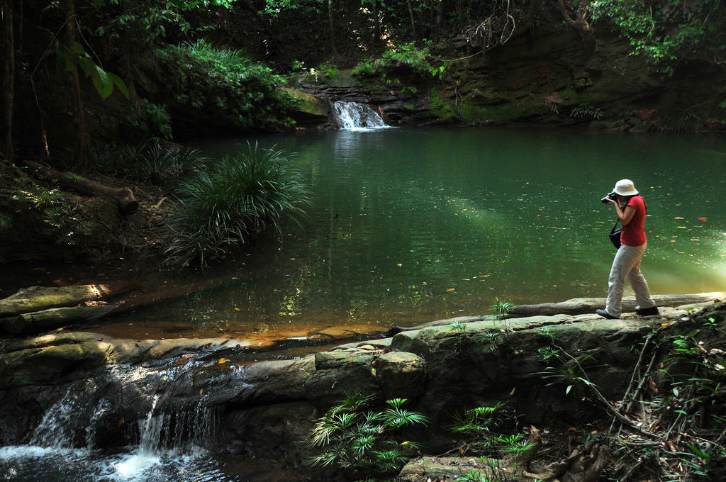 Borneo Tropical Rainforest Resort Miri Exterior foto